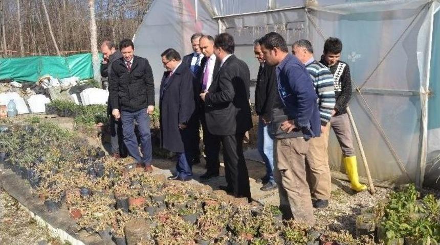 Kaymakam Turan Atlamaz Tarımsal Projeleri Yerinde İnceledi