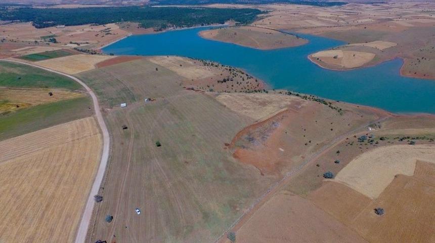 B&uuml;y&uuml;kşehir&rsquo;den Beyşehir&rsquo;e 220 Bin Metrekarelik Fidanlık