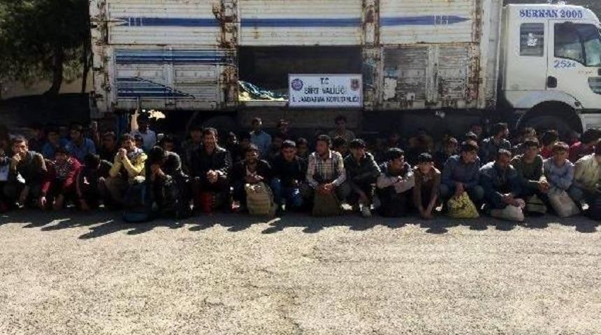 Siirt'te Kamyonda 88 Kaçak Yakalandı