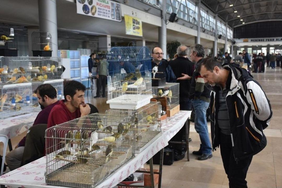 Kuş Tutkunları Bursa&rsquo;da Buluşuyor