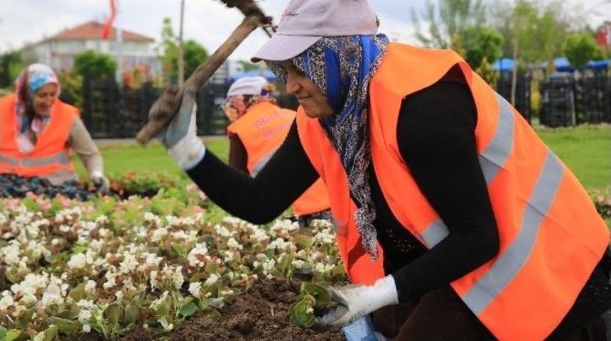 Park Ve Bah&ccedil;eler M&uuml;d&uuml;rl&uuml;ğ&uuml; &Ccedil;alışıyor G&ouml;lbaşı G&uuml;zelleşiyor