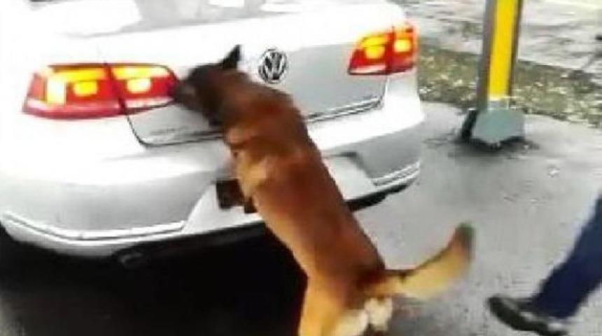 Rize'de Otomobilin Stepnesinden Uyuşturucu &Ccedil;ıktı