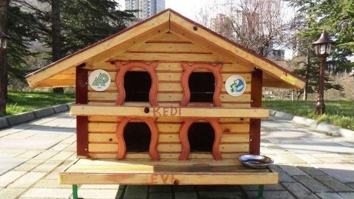 Kedi Ve Kuşlara Özel Konaklar G5