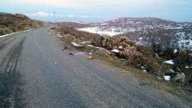 Silvan'da Yola Tuzaklanan 50 Kilo Patlayıcı Imha Edildi