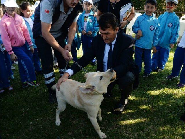 &Ccedil;ocuklar Can Dostlarıyla Doyasıya Eğlendi 1