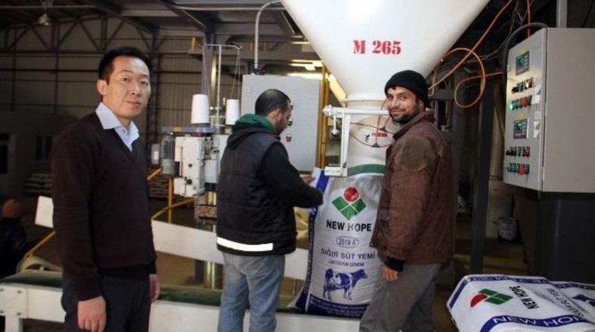 &Ccedil;inliler Adana&rsquo;da Fabrika Kurdu