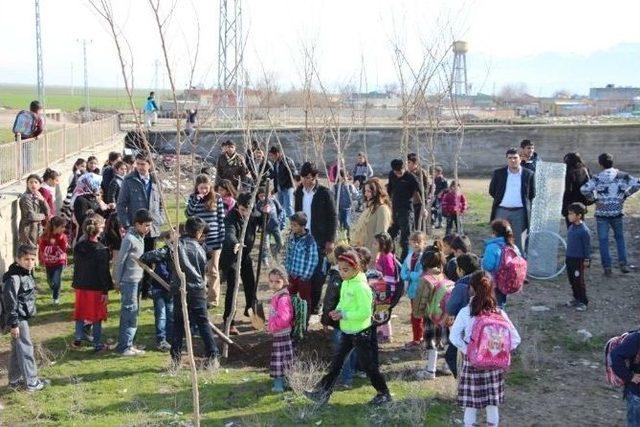 Silopi Köy Okulunda Fidan Dikme Şenliği