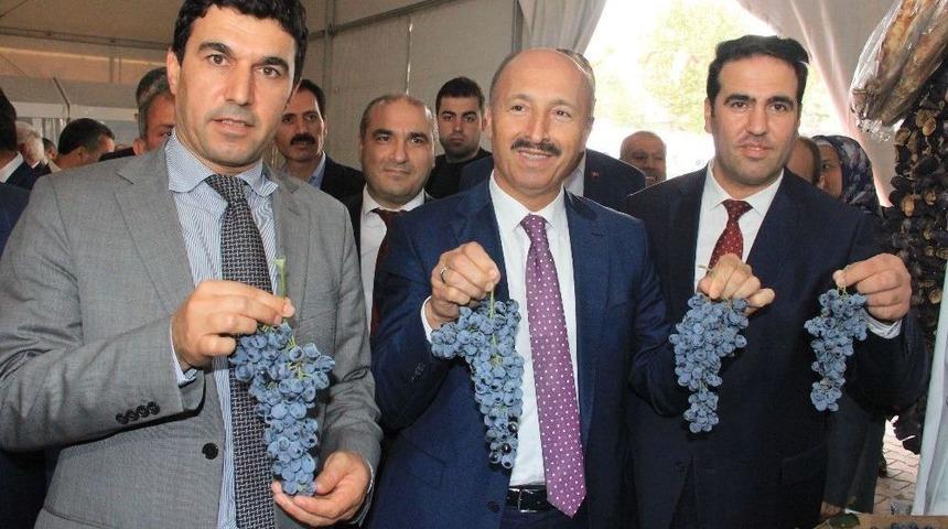 Y&ouml;resel Lezzetler Sultangazi&rsquo;de Buluşuyor