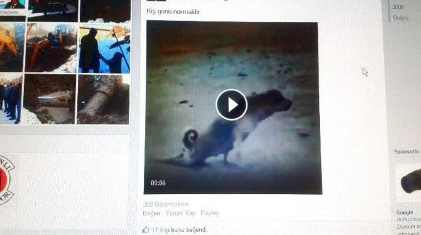 Ak Parti&rsquo;li Başkan Mustafa G&uuml;ler&rsquo;den Sosyal Medyada İlgin&ccedil; Paylaşım