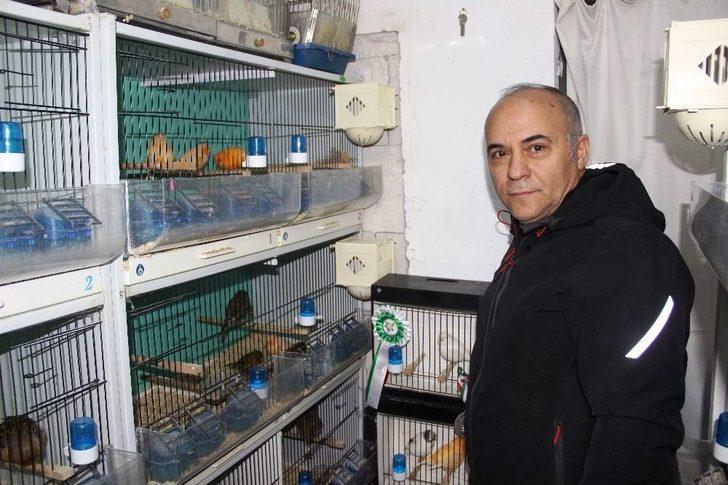 Beyaz Kanarya Türkiye’nin Gurur Oldu G1