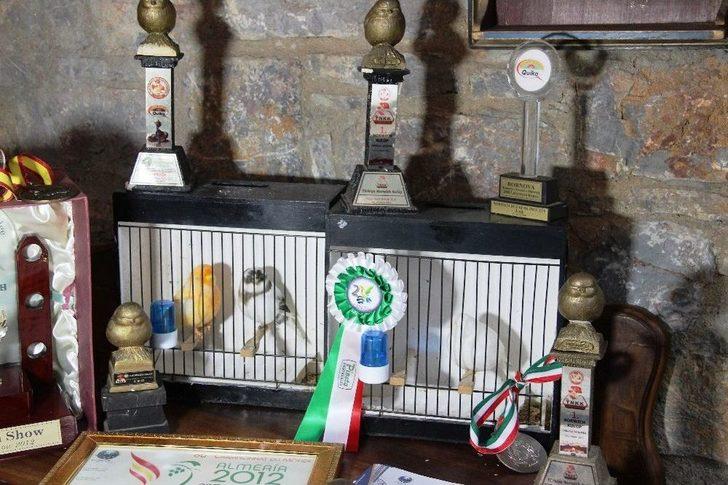 Beyaz Kanarya Türkiye’nin Gurur Oldu G4