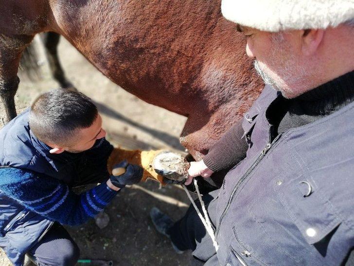 Kahramanmaraş’ın Son Nalbantı G3