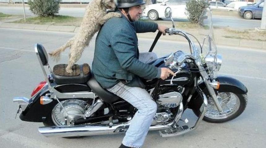 Motosikletli Ve K&ouml;peği