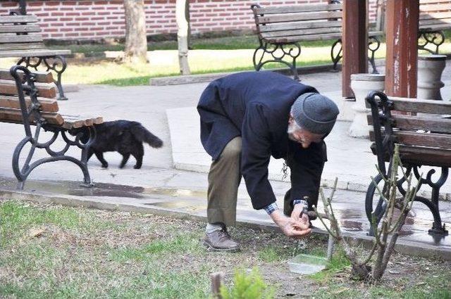 Her G&uuml;n 91&rsquo;lik Dedeyle Camiye Giden Sokak Kedisi Şaşırttı 1