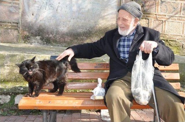 Her G&uuml;n 91&rsquo;lik Dedeyle Camiye Giden Sokak Kedisi Şaşırttı 2