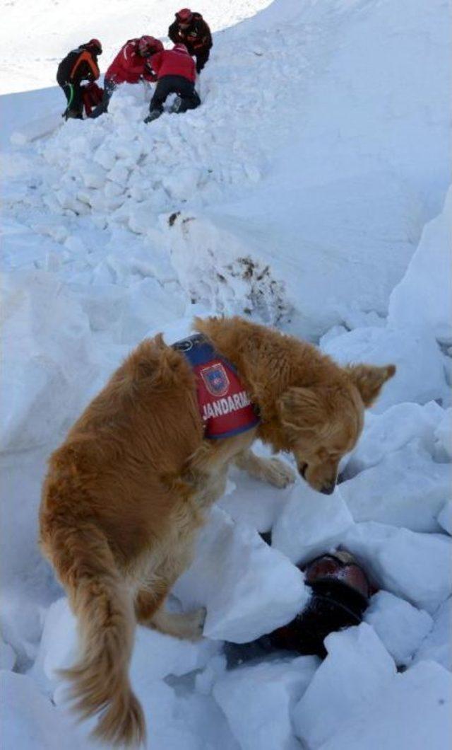 Paland&ouml;ken Emin Ellerde 3