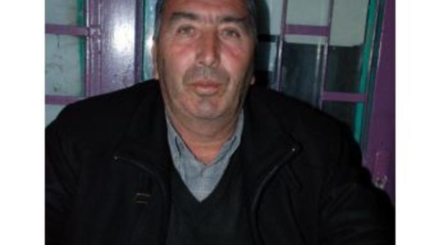 İki D&uuml;veyi Arazide Kesen Hırsızlar, Bir Danayı Da Canlı Olarak G&ouml;t&uuml;rd&uuml;