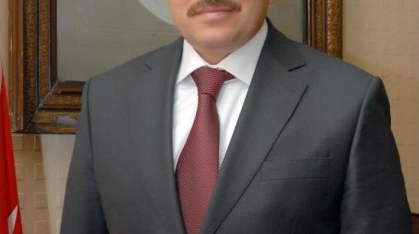 Ordu'da Mermer Ocağı I&ccedil;in Ağa&ccedil; Kesimine Tepki