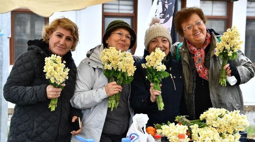 Nergis Turları "kapalı Gişe"