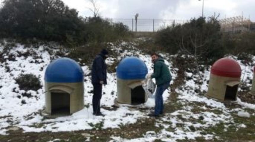 Sahipsiz Sokak K&ouml;peklerine Sıcak Yuva