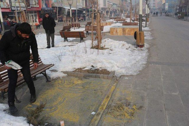 Ağrılı Esnaftan A&ccedil; Kalan Kuşlara Şefkat Eli 1