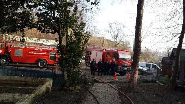Balık Lokantası K&uuml;l Oldu 1