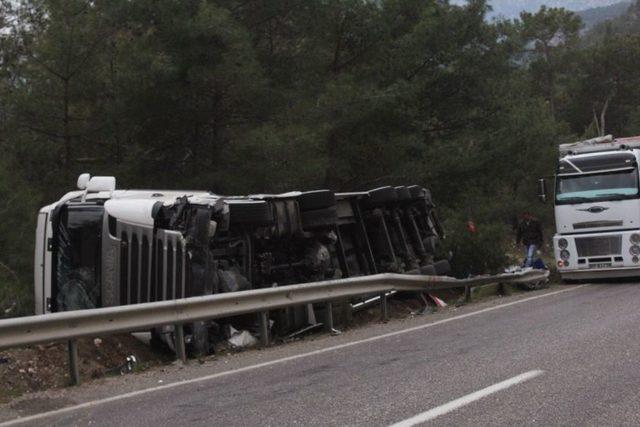 Antalya’da Önüne Domuz Sürüsü Çıkan Tır Devrildi