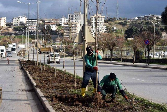 Aliağa Belediyesinden İnönü Caddesine Estetik Dokunuş