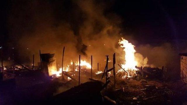 Kayseri de Hurdacıların Yaşadığı 6 Çadırın Kundaklandığı Iddiası 1