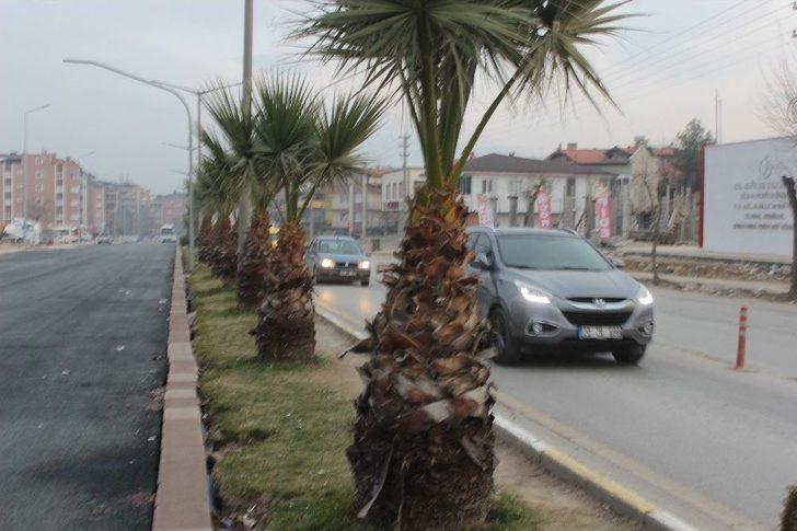 Kazada Yaralanan Kadın Çalıştığı Hastanede Hayatını Kaybetti G3