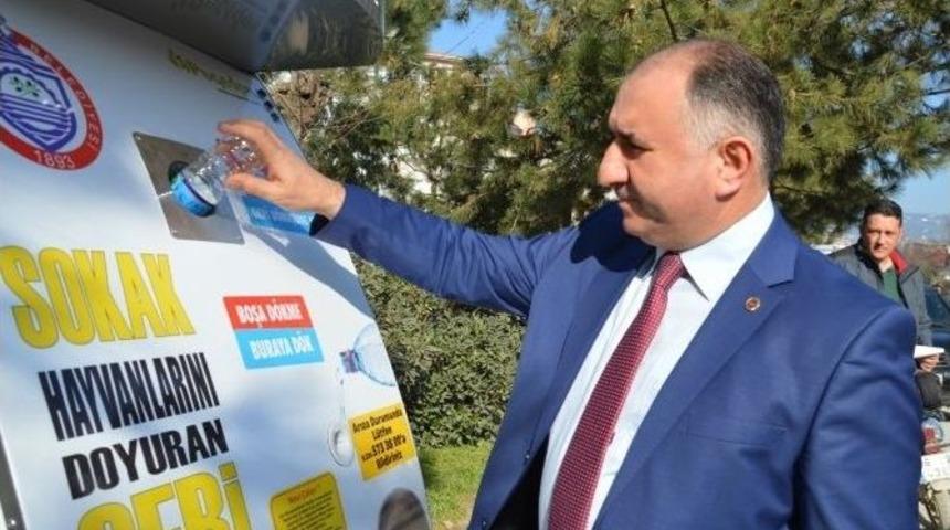 Sokak Hayvanları Mamamatikler Sayesinde A&ccedil; Kalmayacak