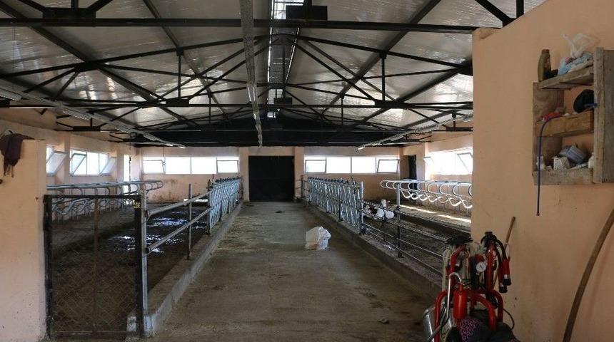 Modern Ahır Projeleri Y&uuml;kselmeye Devam Ediyor