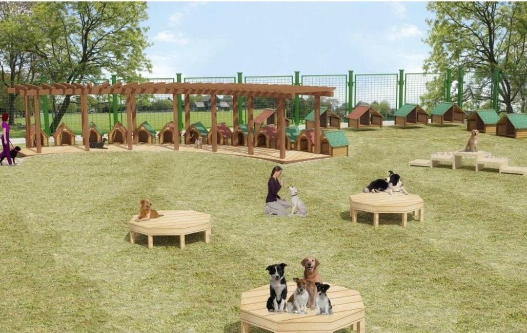 Ey&uuml;psultan Belediyesinden &ldquo;sokak Hayvanları Doğal Yaşam Alanı&rdquo;