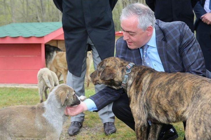 Eyüpsultan Belediyesinden “sokak Hayvanları Doğal Yaşam Alanı” G3