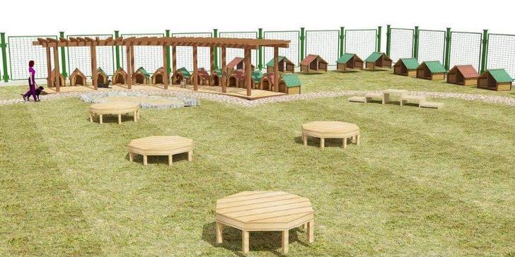 Eyüpsultan Belediyesinden “sokak Hayvanları Doğal Yaşam Alanı” G5