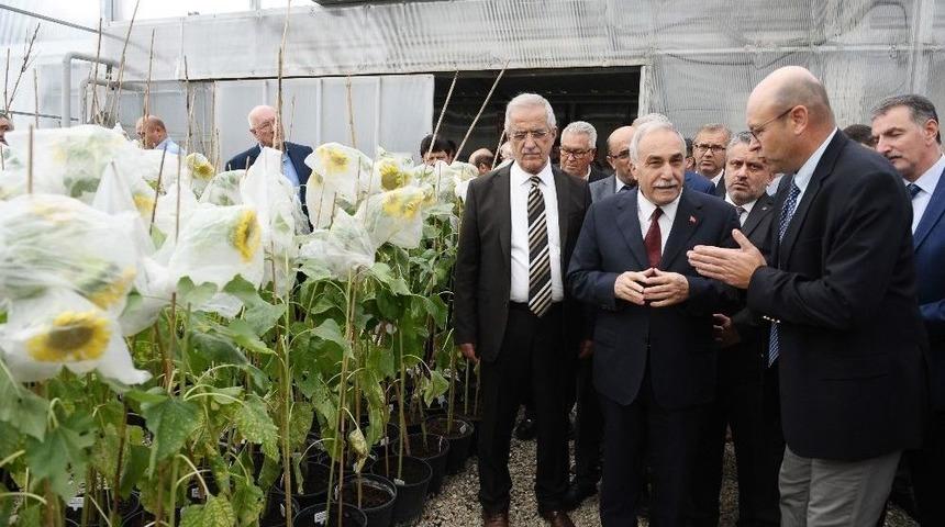 En Verimli Tohumlar Bursa&rsquo;da &Uuml;retiliyor