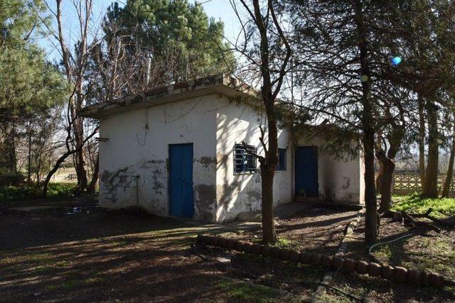 Kavaklıdere&rsquo;de &Ccedil;alışmalar Başlayacak 2