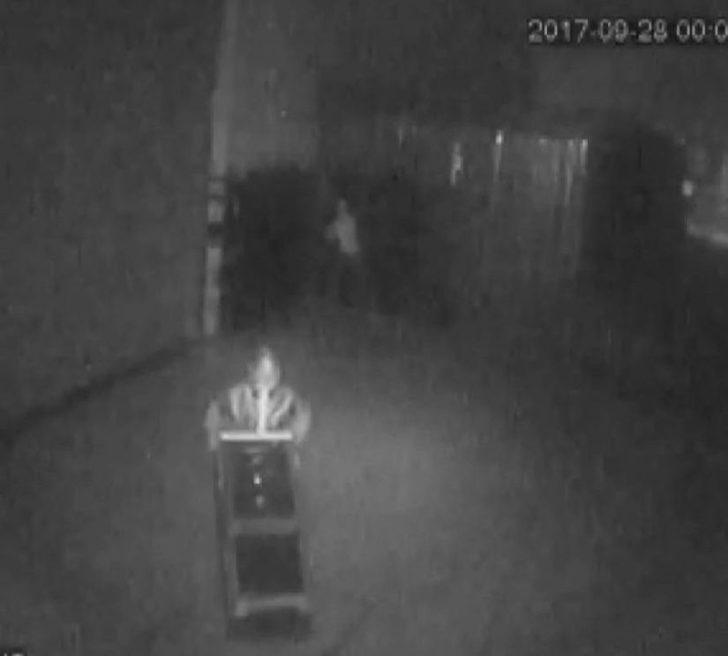 Şaşkın Hırsızlar Kendilerini Tanımayıp Arkadaşlarını Teşhis Etti G3