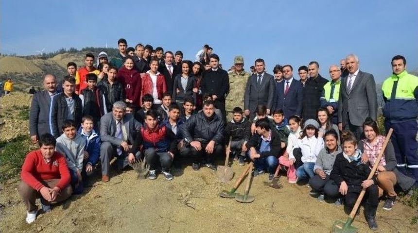 Yanan Orman Alanına Fidan Dikildi