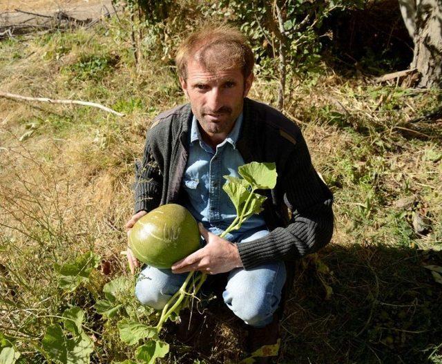 Üzerinde ’allah’ Yazan Kabak İlgi Çekiyor