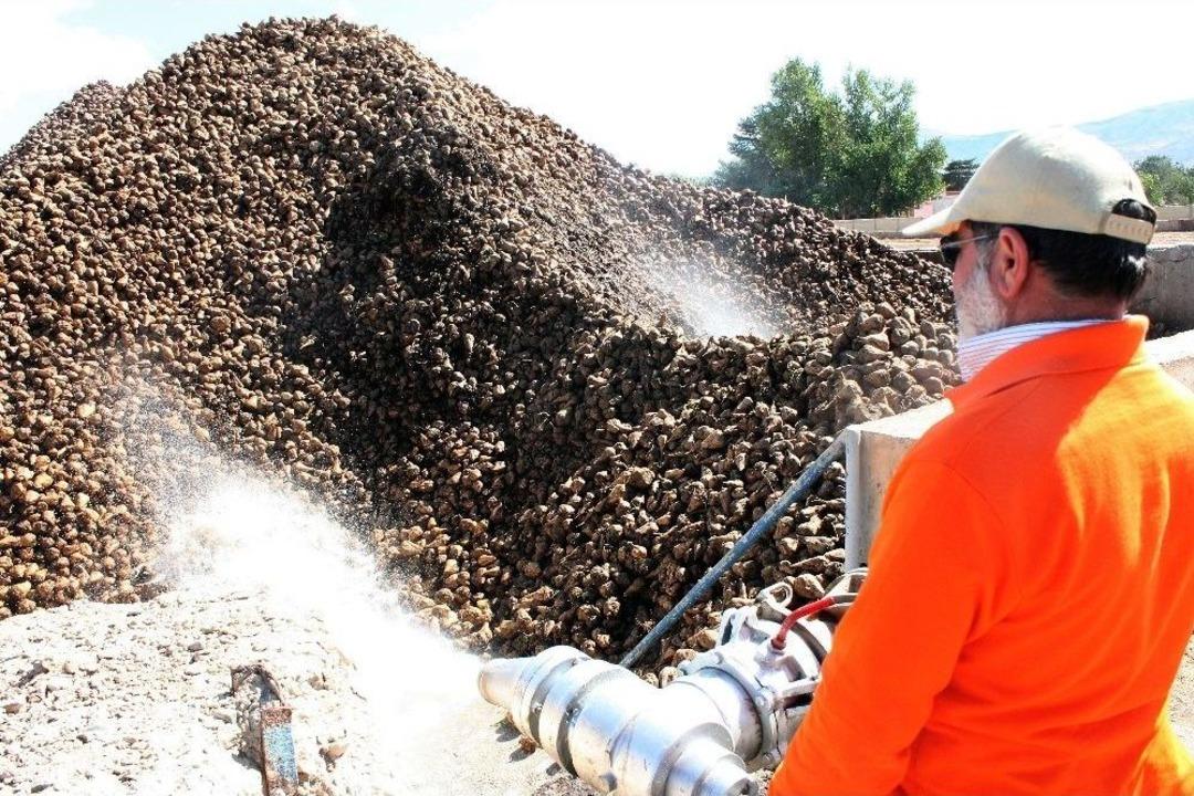 Pancar &Uuml;retimi Y&uuml;zde 110 Arttı, Son 10 Yılın Rekoru Kırıldı