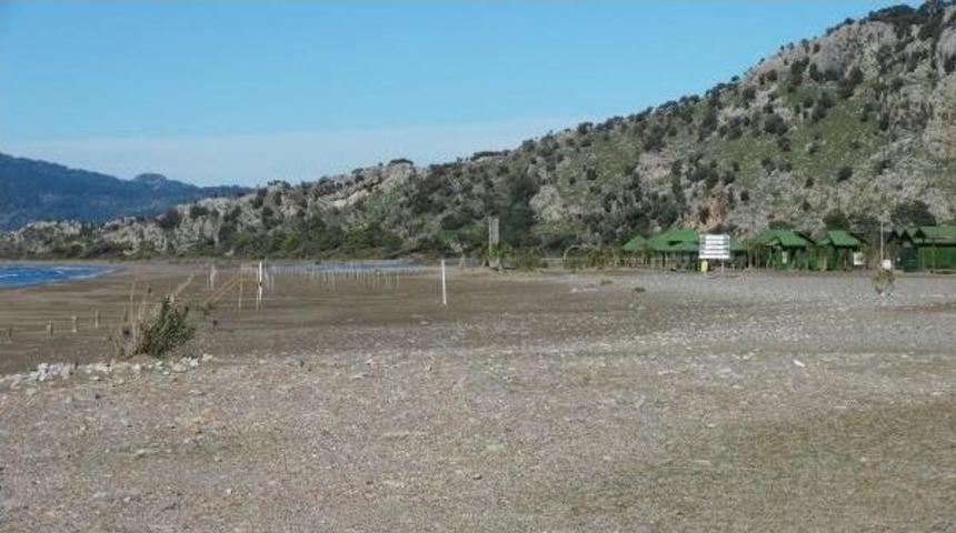 İztuzu'nda &Ccedil;evrecileri Sevindirecek Karar