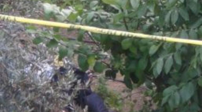 Kayıp Şahıs Mezarlıkta &Ouml;l&uuml; Bulundu