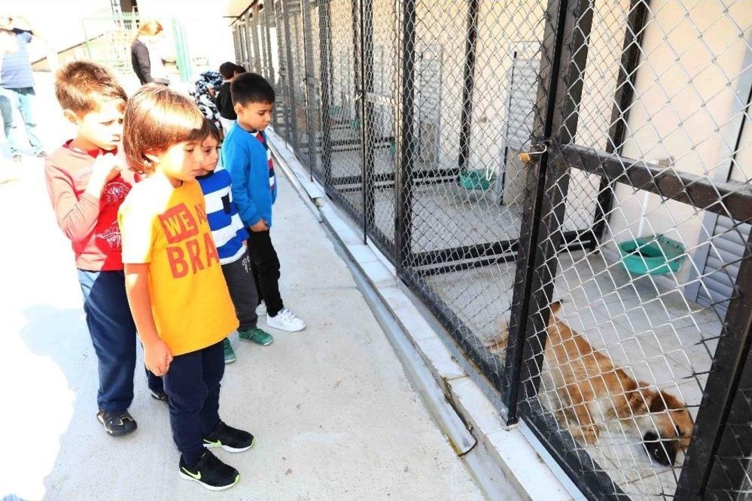 Minikler Can Dostlarla