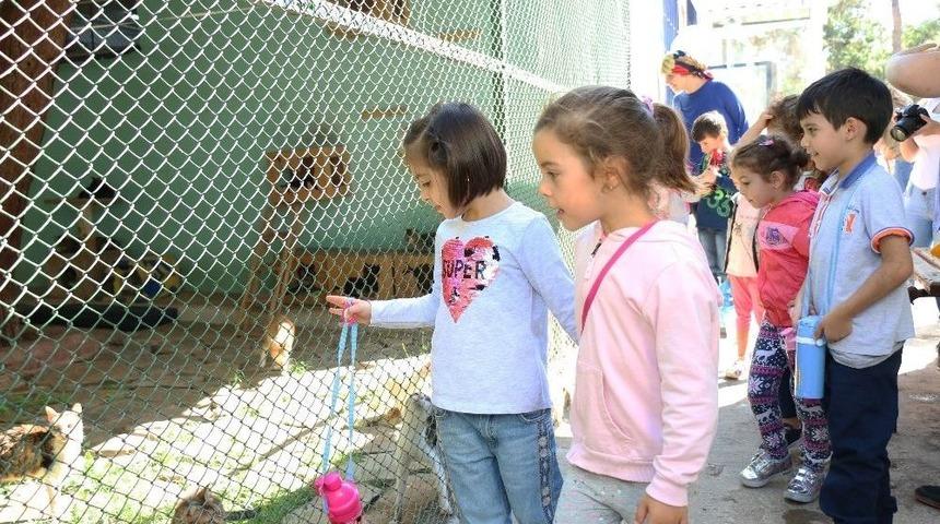 Miniklerden Sevimli Dostlara Ziyaret