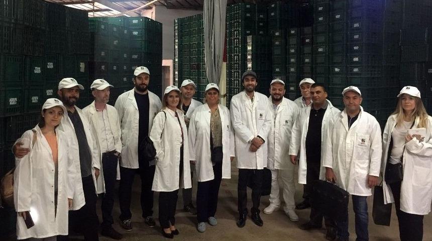 Fas, İhracat&ccedil;ının Yeni G&ouml;zdesi