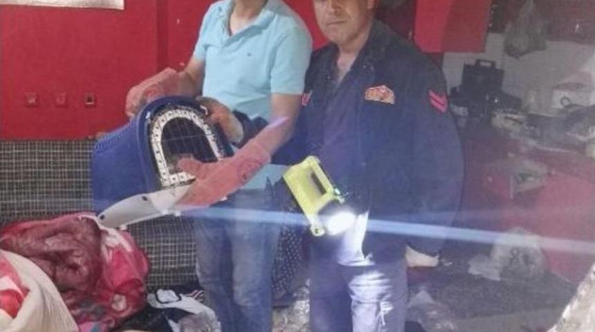 Yazlıkta Mahsur Kalan Kedi Savcıdan Izin Alınarak Kurtarıldı