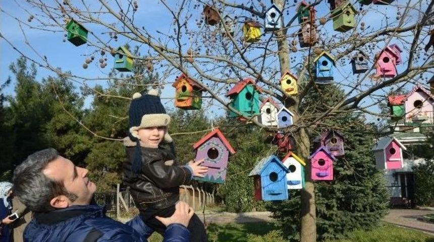 Kuşlar İ&ccedil;in Rengarenk Kuş Evleri