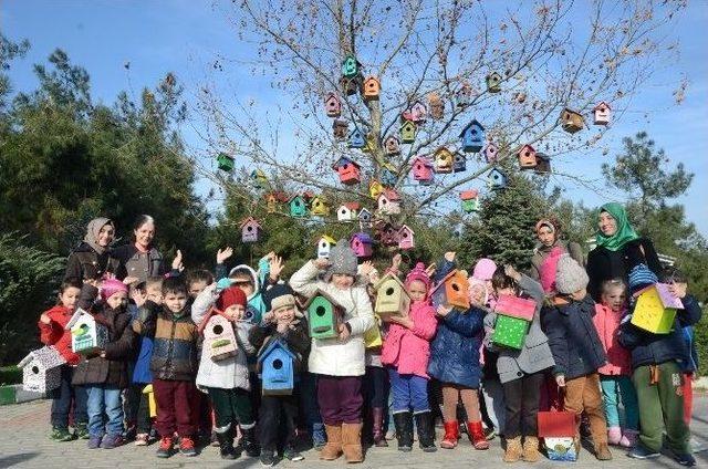 Kuşlar İçin Rengarenk Kuş Evleri