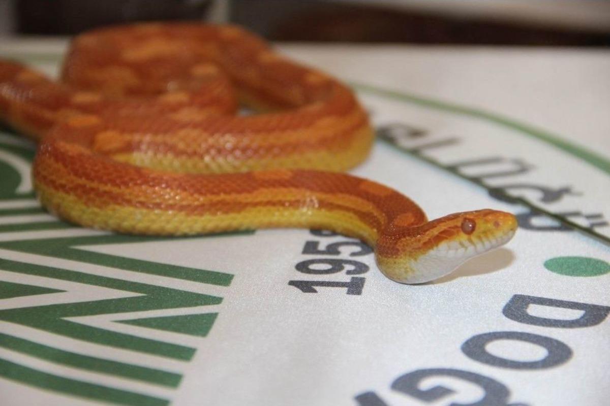 Hem Fotoğrafını Hem De Ger&ccedil;eğini G&ouml;rd&uuml;ler